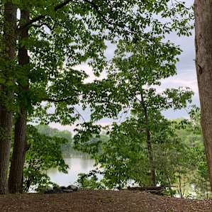 Beautiful views from your tent! Camping spot was feet from the water.