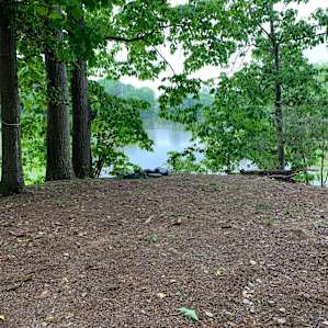 Beautifully cleared camping spots. The ground was covered in soft wood material.