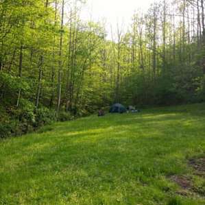 The view from the bottom of the field toward the back of the property