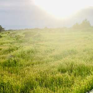 Getting close to sunset in the beautiful grassland countryside close to the ocean.