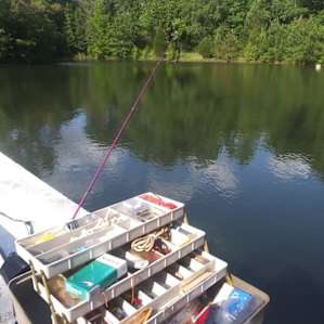 The lake was such a treat! Very peaceful!