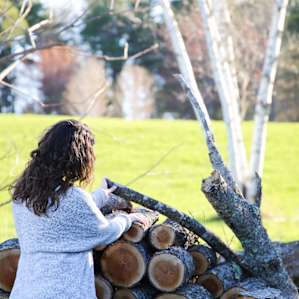 Firewood is available for campers.