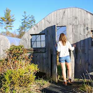 Several greenhouses were on the property and housed some lovely plants.