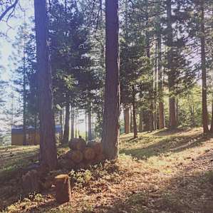 Eagle Hill, Grizzly Flats, CA 95636