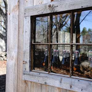 Maple syrup is available for purchase in the sugar house.