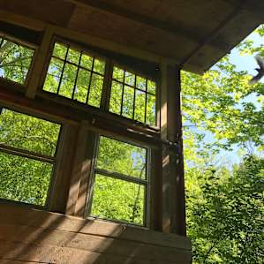 A bird returning to her nest in the camping shelter!