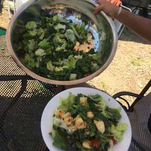 Camp Out at Down-To-Earth EcoShire