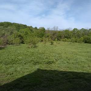Jemerson Creek Camp