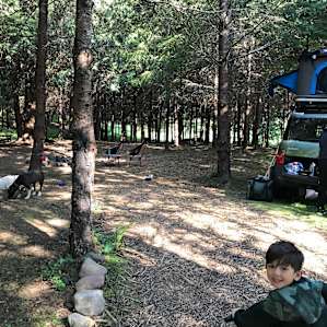 Grey Owl Hollow