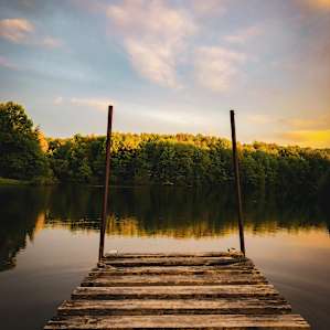 Lake and Forest Camping