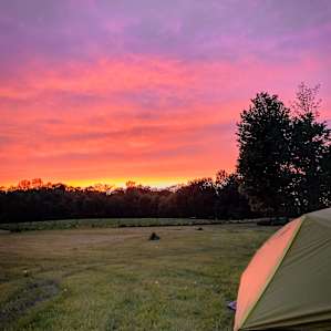Lake and Forest Camping