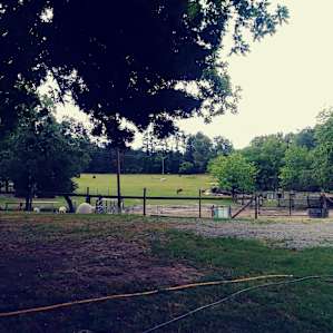 Silk Purse Farm