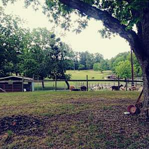 Silk Purse Farm