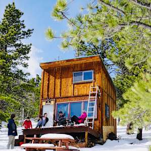 Cabin Wilder