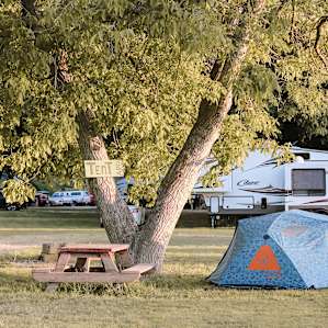 The camping area is flat, grassy and open. We were the only tent campers so we chose to pitch our tent right under the walnut tree near the tables and fire pit.