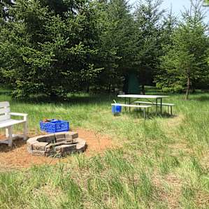 A Oasis in the country in pasture