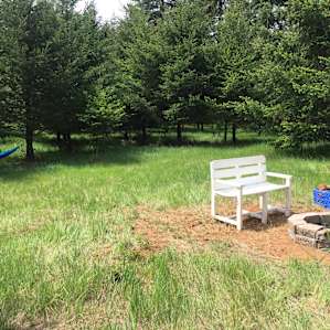 A Oasis in the country in pasture
