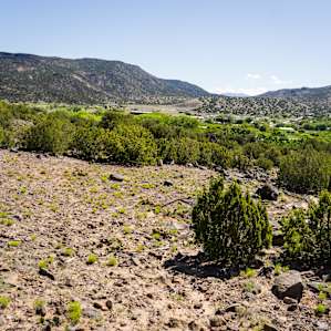 So much potential for awesome campsites:)