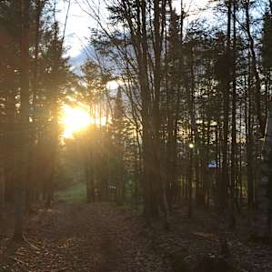 Vermont Northwoods Gypsy Wagon