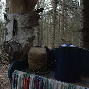 Vermont Northwoods Gypsy Wagon