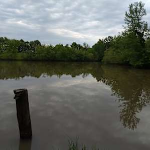 The pond . Full of Big Bluegills and Bass.