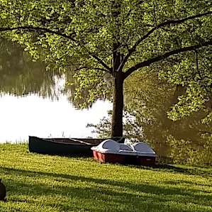 Paddle boat and canoe. Spent most of my time in the canoe catching and releasing fish.