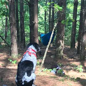 Hammock'Sway Camping