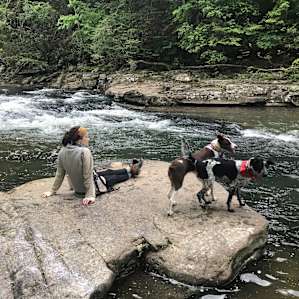 Fall Creek Falls State Park.
