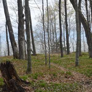 Porcupine Mountains Presque Isle Campground