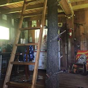 inside the cabin