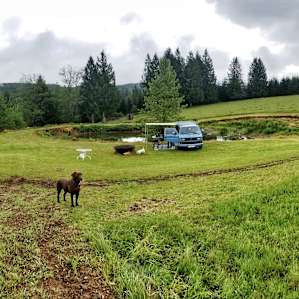 Rainier Getaway