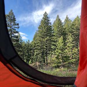 Camp Cherished-Camp for a Cause