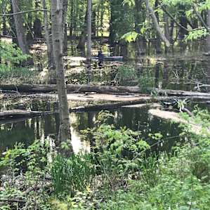 This is a 4 minute paddle from the site
