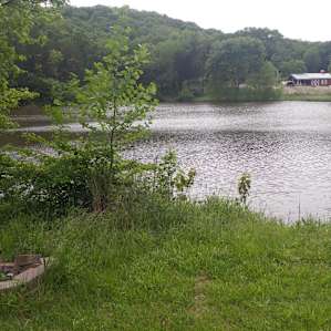 Lakeside Camping