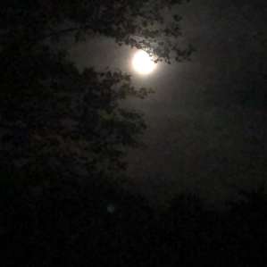Gorgeous full moon.