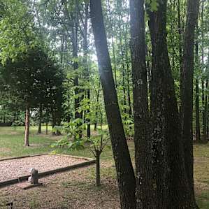 The trees were beautiful!!