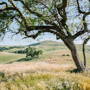 Looking back towards Mission Peak.