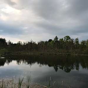 Sanctuary Camp