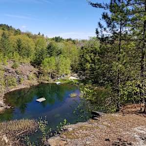 Camp at Quarry Brook