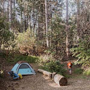 Little secluded campsite right next to your own personal trail.