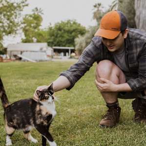 Everywhere you look there's a new friendly animal to pet!