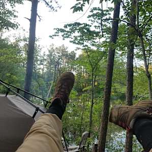 Dockside Bluff