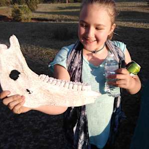 My oldest found an almost complete horse skeleton in "Dead Horse Gulch" about an eighth of a mile from camp.