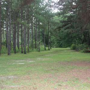 Space for activities near 2 cabins