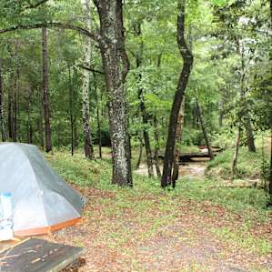White Bluff Primitive Camping