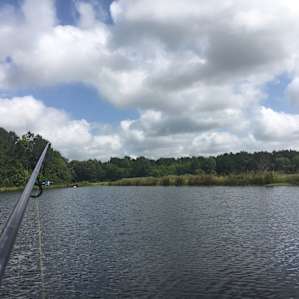 Private 100 acre fishing pond. Photo doesn't do it justice. Its quite large with endless shoreline to fish.