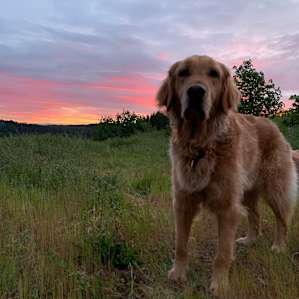 beautiful sunset