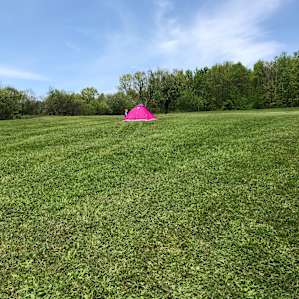 The perfect spot on the hill