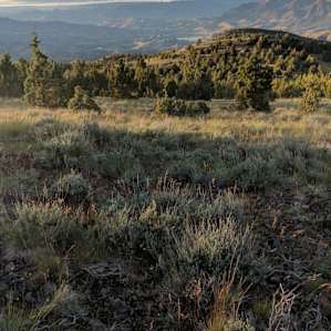 Bucking Horse Ranch