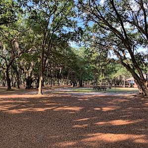 Trail